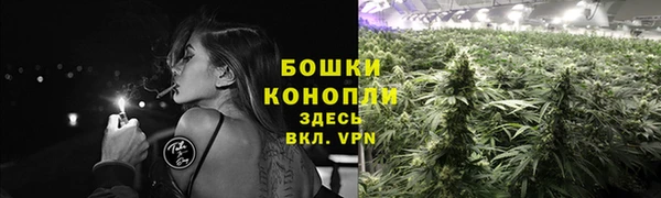мдпв Волоколамск