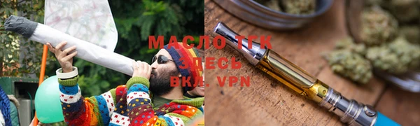 индика Верхний Тагил