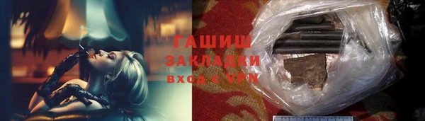 индика Верхний Тагил