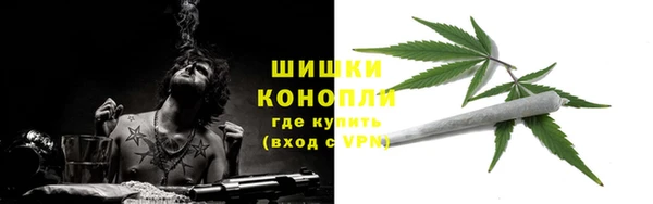 дмт Верея