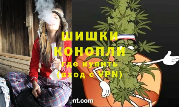 дмт Верея