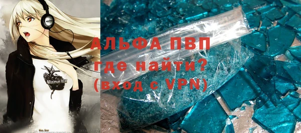индика Верхний Тагил