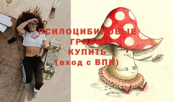 мдпв Волоколамск