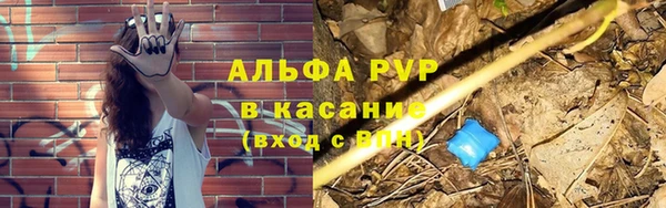 индика Верхний Тагил