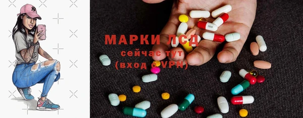 индика Верхний Тагил