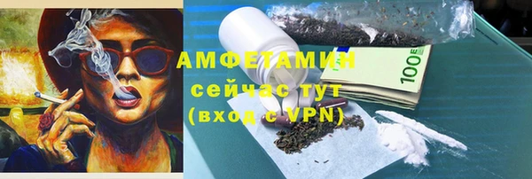 индика Верхний Тагил