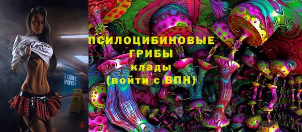 мдпв Волоколамск